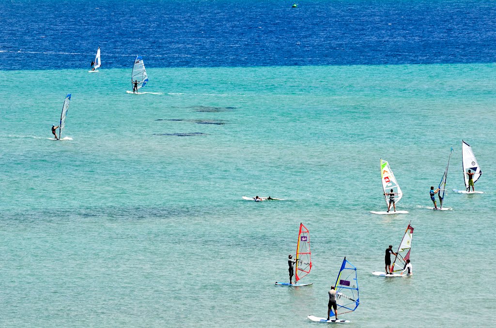 Windsurf school in Alacati Bay/ Izmir