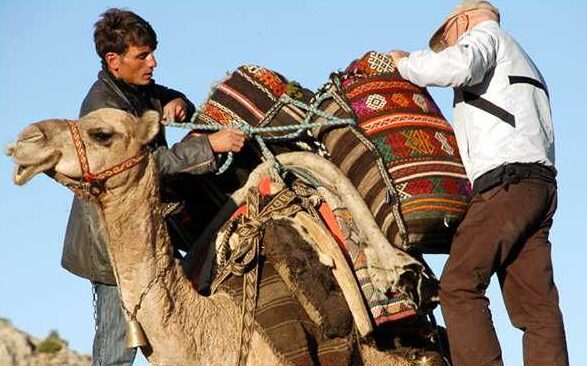 The nomadic sacks are attached to each other, by using bands on the back of the camel, Sarıkeçili Turkmens, Mersin, 2010s, Southern Turkey