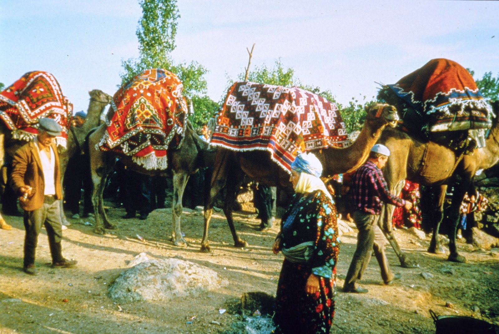 Anatolian Turkmen Nomads expose their weaving skills in during the migration. Çanakkale, Western Turkey, 1997