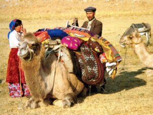 A father-daughter couple fixing the nomad bags onto a camel before migration, Kahramanmaraş, South-Eastern Turkey, 1980s, Photo courtesy Josephine Powell